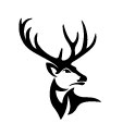 Hirsch
